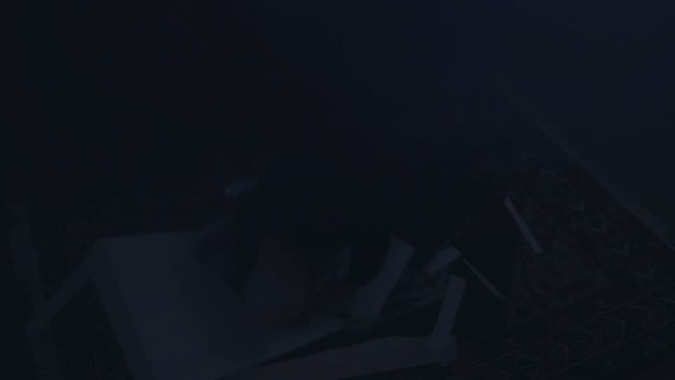End of History Part 1 frame 83